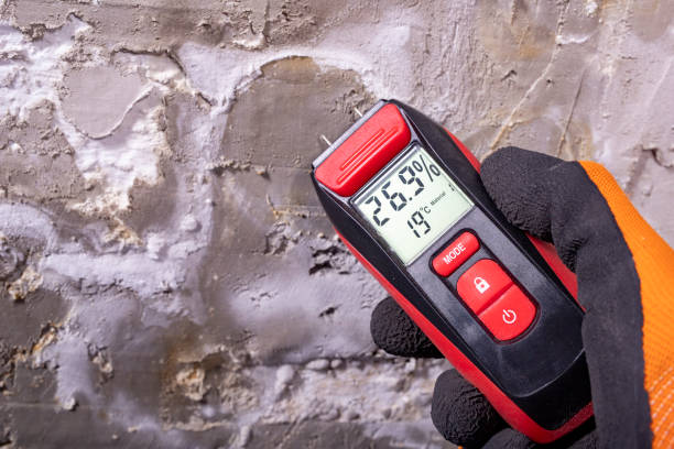 Best Kitchen Mold Remediation in Postville, IA